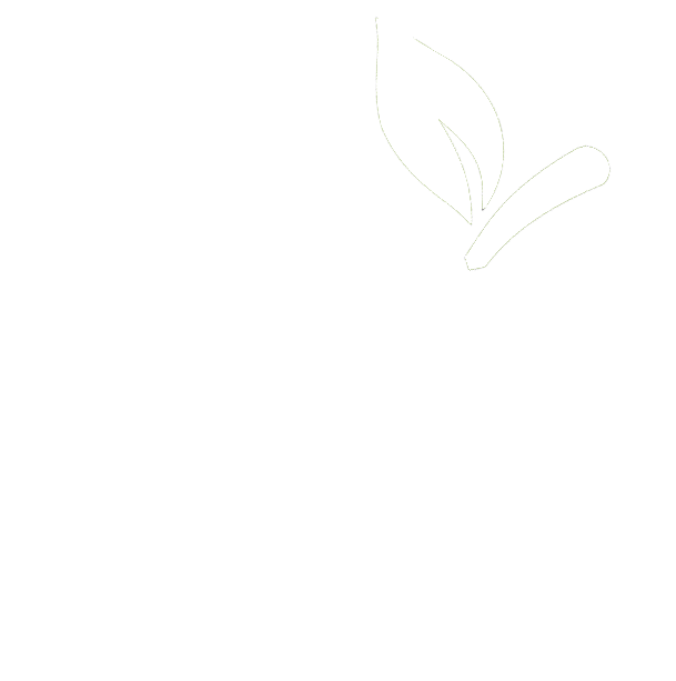 verse smoothies 't gooi